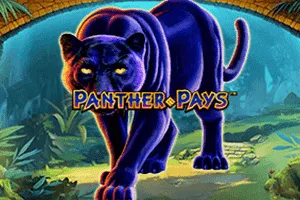 Playtech : Panther Pays - JPMAXWIN188